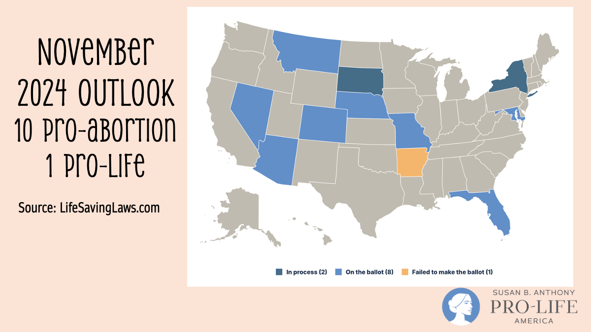 SBA-Prolife-Nov2024